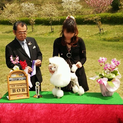 池田ブリーダーの画像