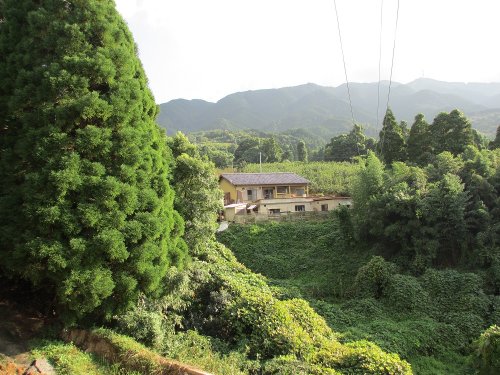 西田ブリーダーの画像