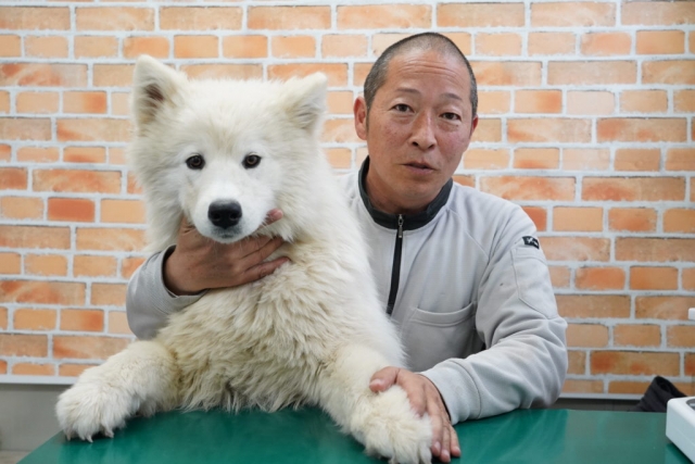 芝田ブリーダーの画像