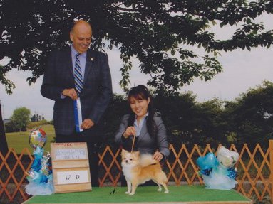 吉田ブリーダーの画像
